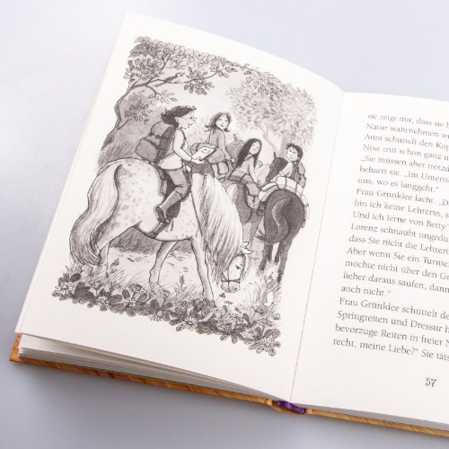Buchcover und Innenansicht für das Buch: Ponyherz 14: Ponyherz im Sturm