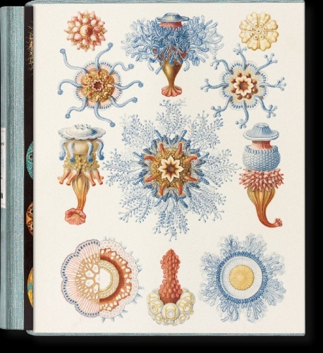 Buchcover und Innenansicht für das Buch: The Art and Science of Ernst Haeckel