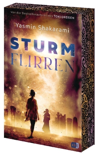 Buchcover und Innenansicht für das Buch: Sturmflirren