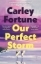 Buchcover und Innenansicht für das Buch: Our Perfect Storm