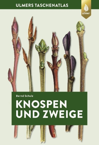 Buchcover und Innenansicht für das Buch: Knospen und Zweige