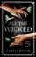 Buchcover und Innenansicht für das Buch: All The Wicked