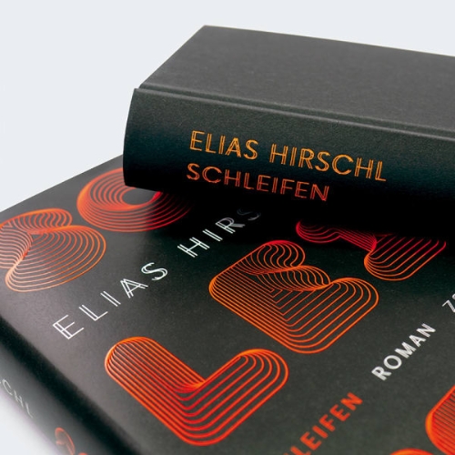 Bild von Schleifen - Roman
