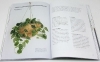 Buchcover und Innenansicht für das Buch: The New Plant Parent. Develop Your Green Thumb and Care for Your House-Plant Family