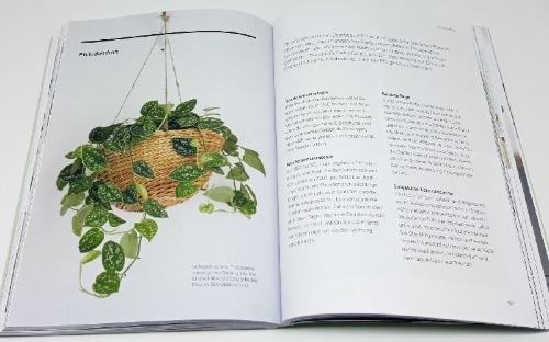 Buchcover und Innenansicht für das Buch: The New Plant Parent. Develop Your Green Thumb and Care for Your House-Plant Family