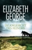 Buchcover und Innenansicht für das Buch: In the Presence of the Enemy