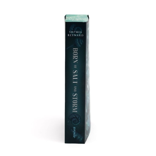 Buchcover und Innenansicht für das Buch: Born of Salt and Storm