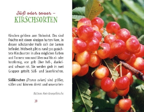 Buchcover und Innenansicht für das Buch: Kirschen