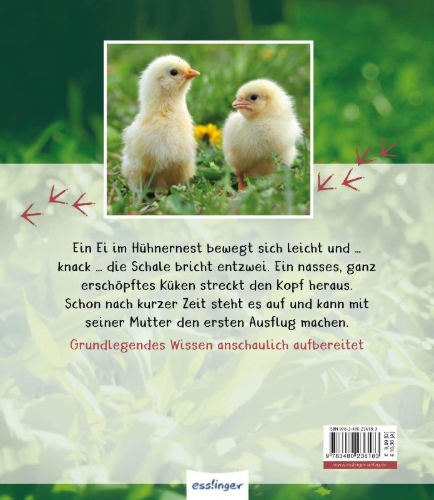 Buchcover und Innenansicht für das Buch: Meine große Tierbibliothek: Das Huhn