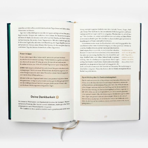 Buchcover und Innenansicht für das Buch: Das 6-Minuten-Tagebuch (lagune)