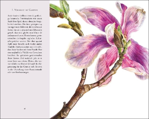 Buchcover und Innenansicht für das Buch: Überwältigende Blüten