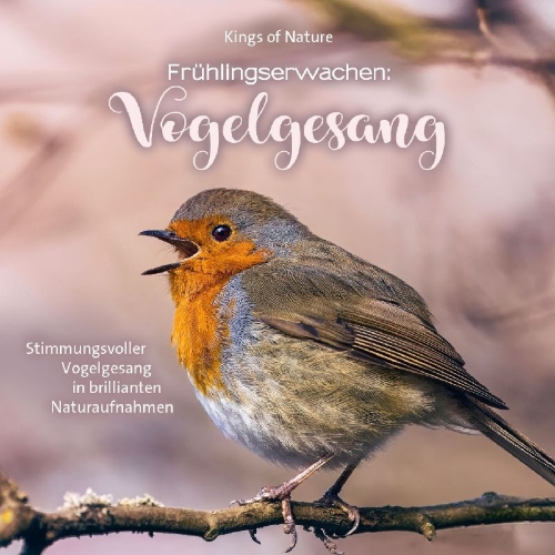 Buchcover und Innenansicht für das Buch: Frühlingserwachen: Vogelgesang