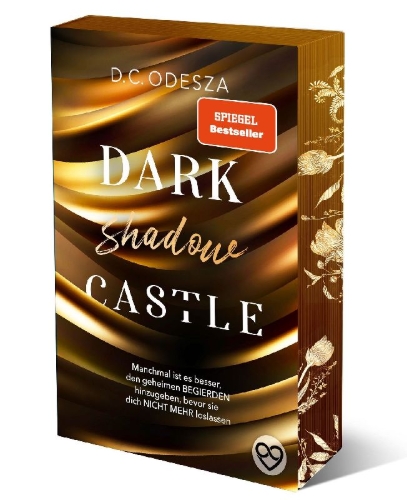 Buchcover und Innenansicht für das Buch: DARK shadow CASTLE 03