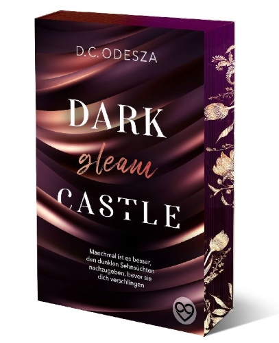 Buchcover und Innenansicht für das Buch: DARK gleam CASTLE 01