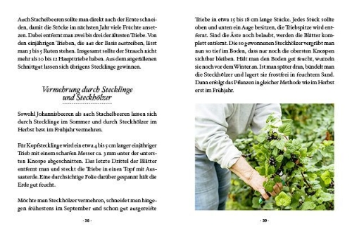 Buchcover und Innenansicht für das Buch: Das große kleine Buch: Mein Naschgarten