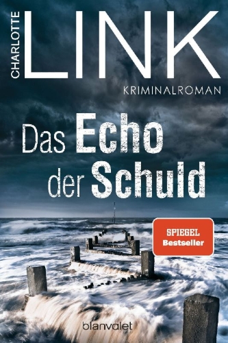 Buchcover und Innenansicht für das Buch: Das Echo der Schuld