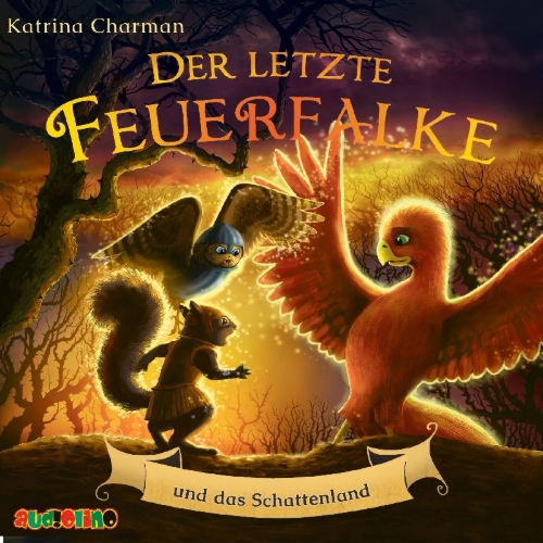 Buchcover und Innenansicht für das Buch: Der letzte Feuerfalke und das Schattenland