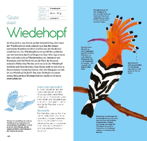 Buchcover und Innenansicht für das Buch: Oiseaux à reconnaître