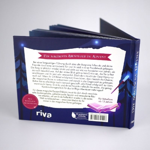 Buchcover und Innenansicht für das Buch: Die magische Ruine