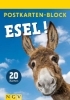 Buchcover und Innenansicht für das Buch: Postkartenblock Esel