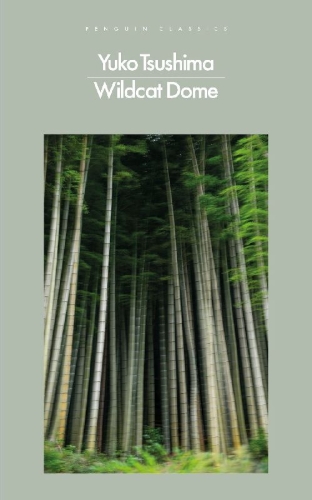 Buchcover und Innenansicht für das Buch: Wildcat Dome