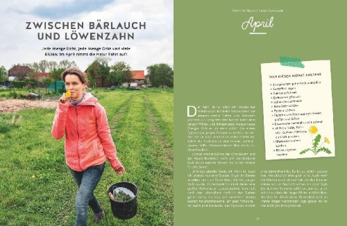 Buchcover und Innenansicht für das Buch: 12 Monate Gemüse ernten