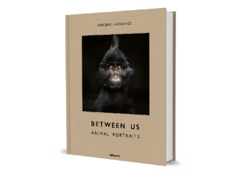 Buchcover und Innenansicht für das Buch: Between Us