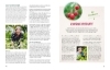 Buchcover und Innenansicht für das Buch: Mein Garten, meine Rezepte