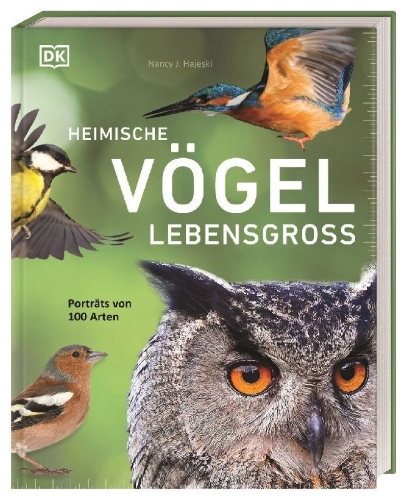 Buchcover und Innenansicht für das Buch: Heimische Vögel lebensgroß