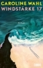 Buchcover und Innenansicht für das Buch: Windstärke 17