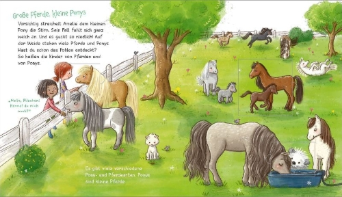 Buchcover und Innenansicht für das Buch: WAS IST WAS Meine Welt Band 7 Ich mag Ponys!