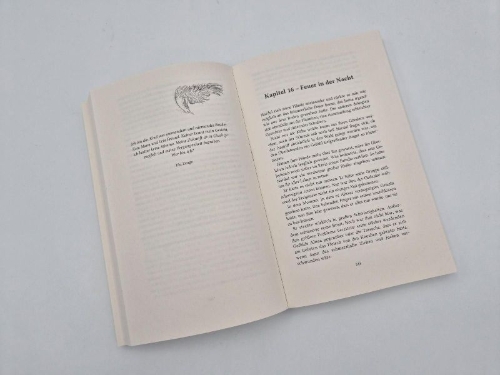 Buchcover und Innenansicht für das Buch: Phönixkrone