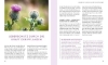 Buchcover und Innenansicht für das Buch: Leber & Galle entgiften und natürlich stärken