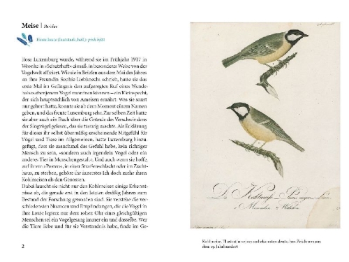 Buchcover und Innenansicht für das Buch: Vögel