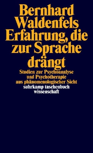 Buchcover und Innenansicht für das Buch: Erfahrung, die zur Sprache drängt