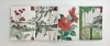 Buchcover und Innenansicht für das Buch: Frühling