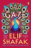 Buchcover und Innenansicht für das Buch: The Gaze