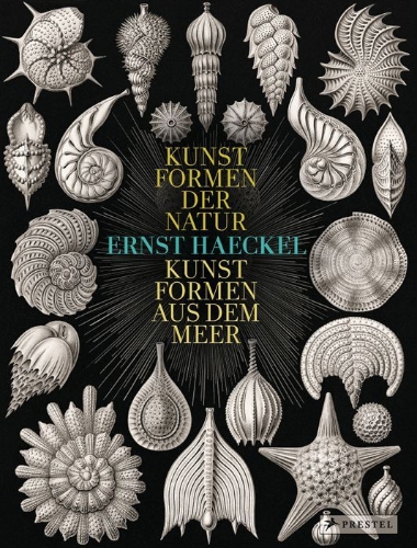 Buchcover und Innenansicht für das Buch: Ernst Haeckel