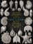 Buchcover und Innenansicht für das Buch: Ernst Haeckel