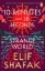Buchcover und Innenansicht für das Buch: 10 Minutes 38 Seconds in this Strange World