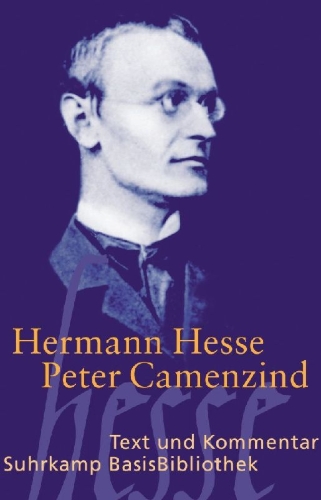 Buchcover und Innenansicht für das Buch: Peter Camenzind
