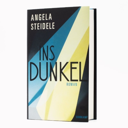 Buchcover und Innenansicht für das Buch: Ins Dunkel