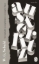 Buchcover und Innenansicht für das Buch: Austerlitz