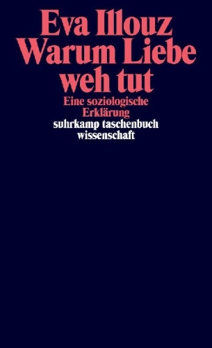 Buchcover und Innenansicht für das Buch: Why Love Hurts: A Sociological Explanation