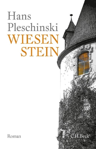 Buchcover und Innenansicht für das Buch: Wiesenstein
