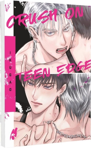 Buchcover und Innenansicht für das Buch: Crush on teen edge