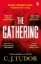 Buchcover und Innenansicht für das Buch: The Gathering