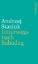 Buchcover und Innenansicht für das Buch: Jadac do Babadag