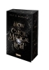 Buchcover und Innenansicht für das Buch: How To Catch A Magical Light (New York Magics 1)