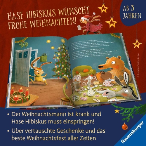 Buchcover und Innenansicht für das Buch: Hase Hibiskus und das Weihnachtstier